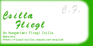 csilla fliegl business card